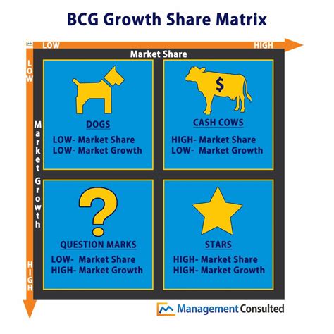 bcg matrix with example.